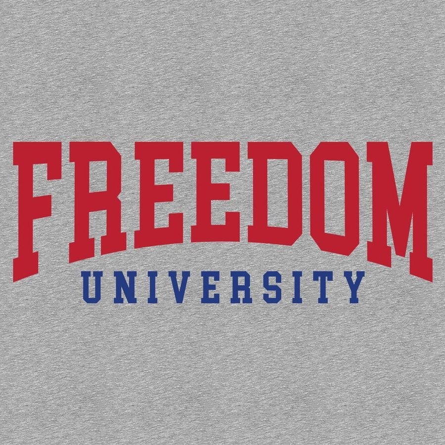 Freedom University Hoodie - Sport Gray